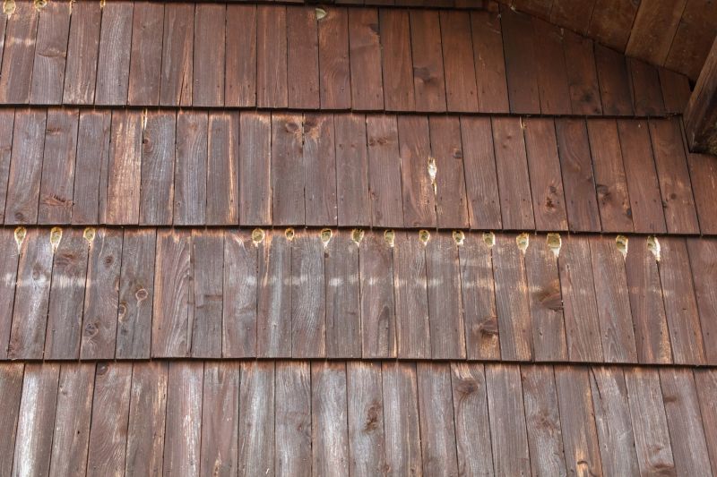 Woodpecker Hole Repair