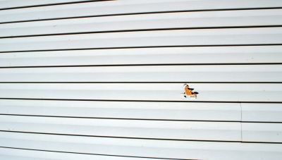 Repair Cracks or Holes in the Siding!